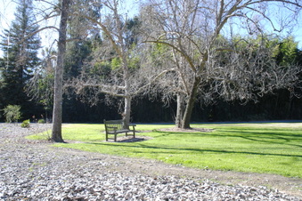 Enlarge photo 19