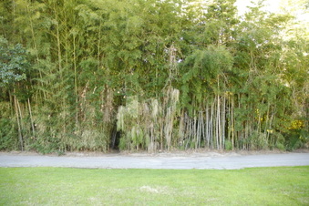 Enlarge photo 24
