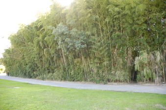 Enlarge photo 25