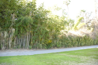 Enlarge photo 26
