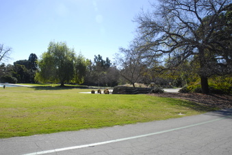 Enlarge photo 28
