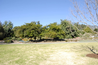 Enlarge photo 31