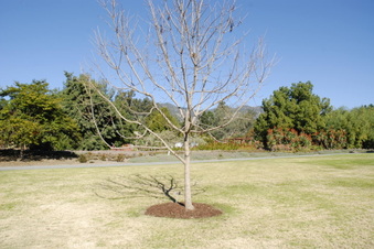 Enlarge photo 32