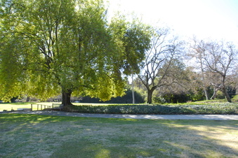 Enlarge photo 33