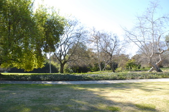 Enlarge photo 34