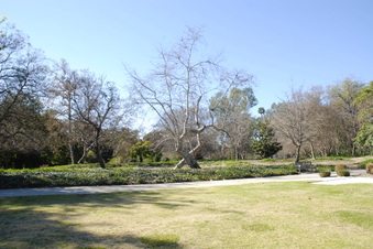 Enlarge photo 35