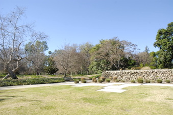 Enlarge photo 36