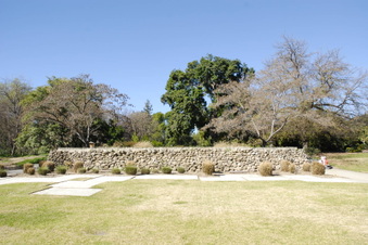 Enlarge photo 37