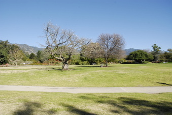 Enlarge photo 40