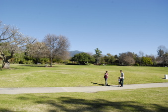 Enlarge photo 41