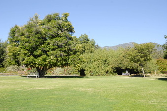 Enlarge photo 46