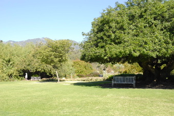 Enlarge photo 47
