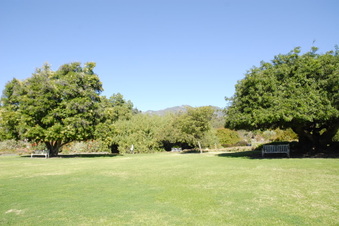 Enlarge photo 48