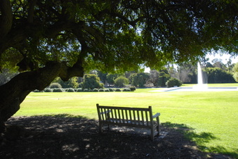 Enlarge photo 49