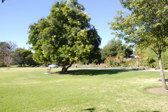 Enlarge photo 53