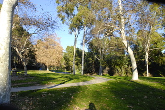 Enlarge photo 7