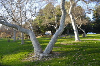 Enlarge photo 10