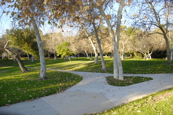 Enlarge photo 19