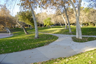 Enlarge photo 20