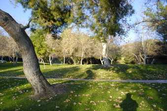 Enlarge photo 22