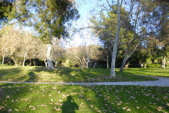 Enlarge photo 23