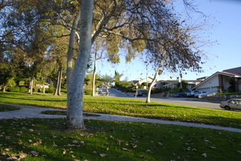 Enlarge photo 25