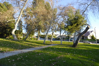 Enlarge photo 26