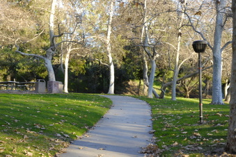 Enlarge photo 30