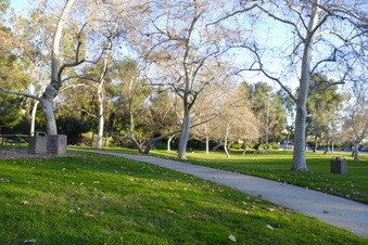 Enlarge photo 33