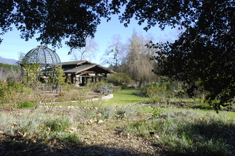 Enlarge photo 3