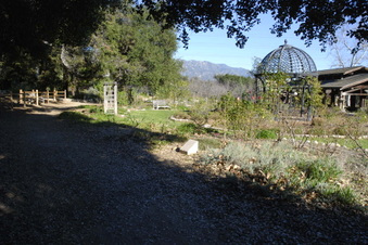 Enlarge photo 4
