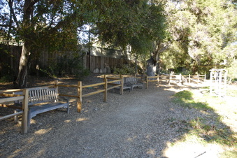Enlarge photo 5