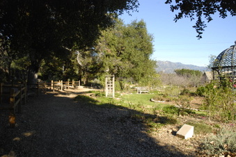 Enlarge photo 6