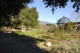 Enlarge photo 7