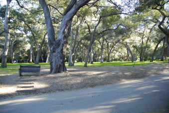 Enlarge photo 10