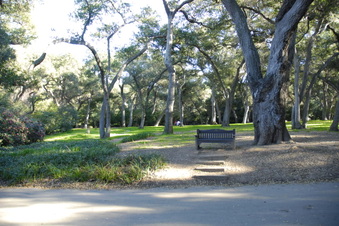 Enlarge photo 11