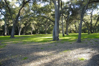 Enlarge photo 13
