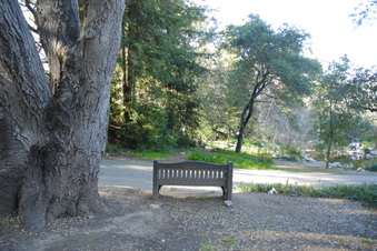 Enlarge photo 14