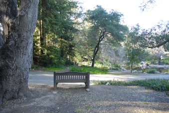 Enlarge photo 15