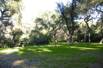 Enlarge photo 17