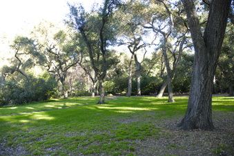 Enlarge photo 18