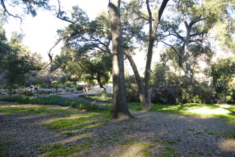 Enlarge photo 19