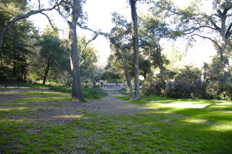 Enlarge photo 21