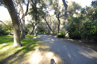 Enlarge photo 22