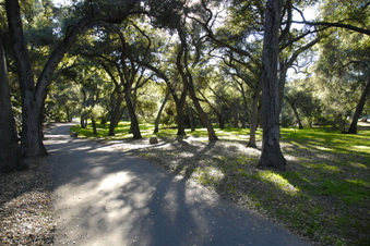 Enlarge photo 23
