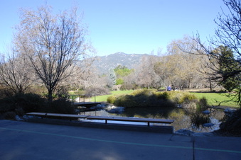 Waterfall Area