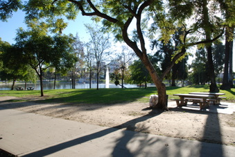 Enlarge photo 3