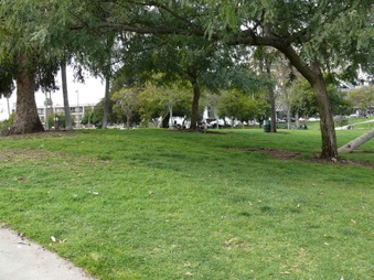 Enlarge photo 12
