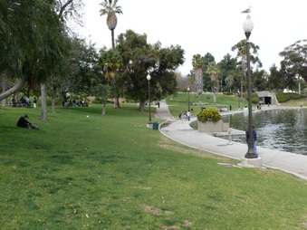 Enlarge photo 13