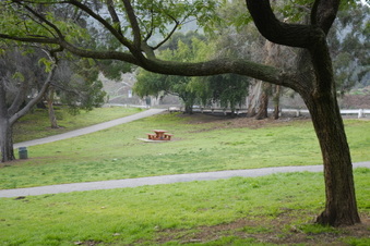 Enlarge photo 3